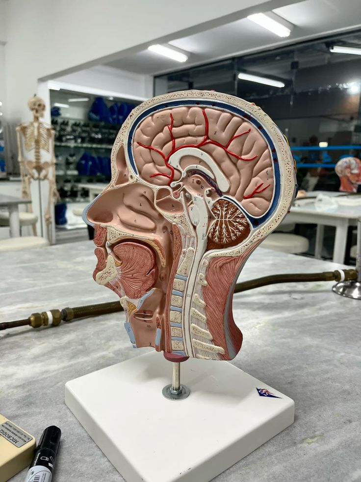 Medical